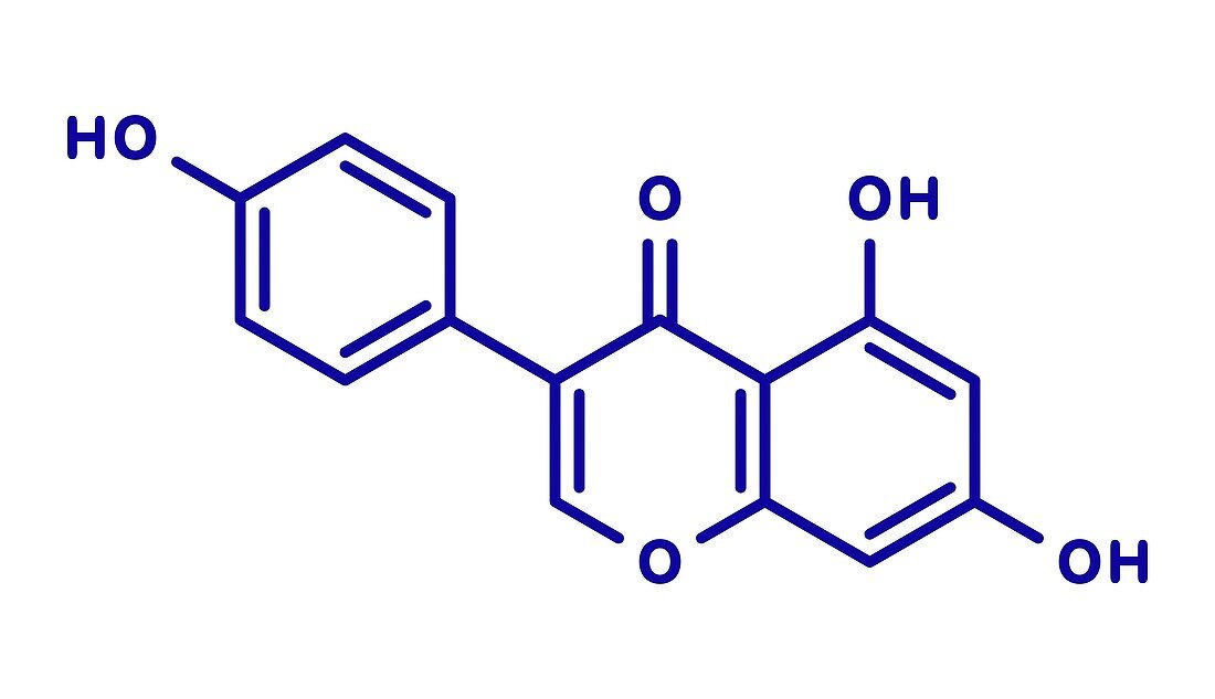 Genistein isoflavone molecule, illustration