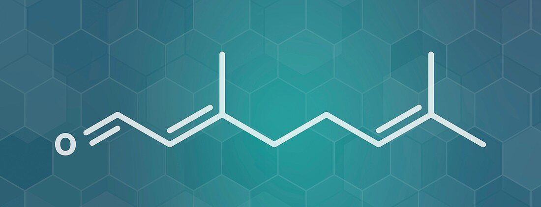 Geranial lemon fragrance molecule, illustration