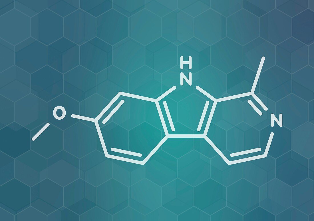 Harmine alkaloid molecule, illustration