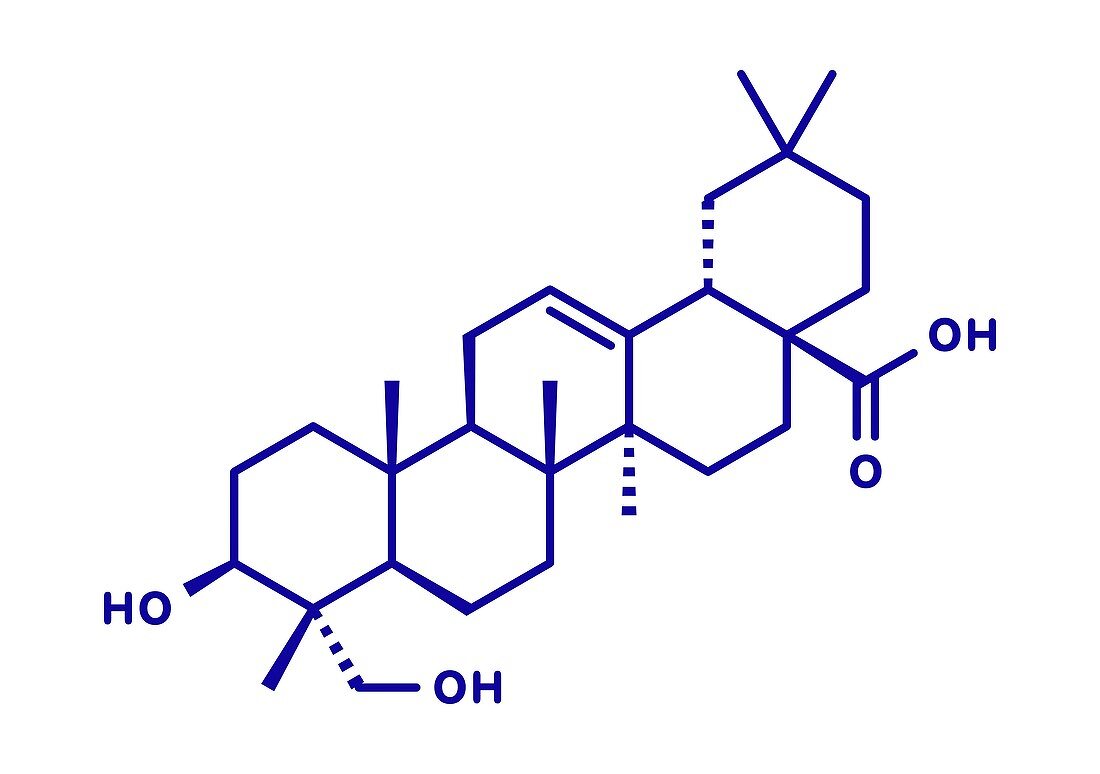 Hederagenin common ivy molecule, illustration