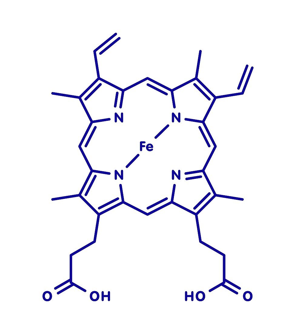 Heme B molecule, illustration