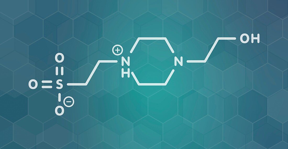 HEPES buffering agent molecule, illustration