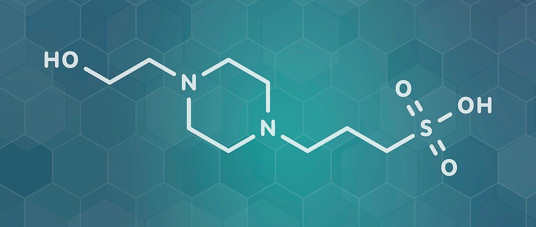 HEPPS buffering agent molecule, illustration