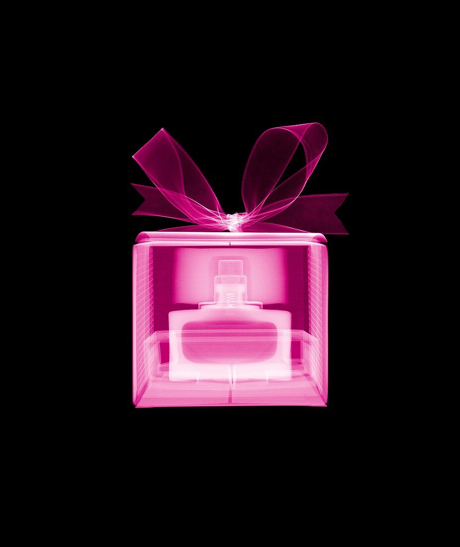 Gift wrapped box containing perfume, X-ray