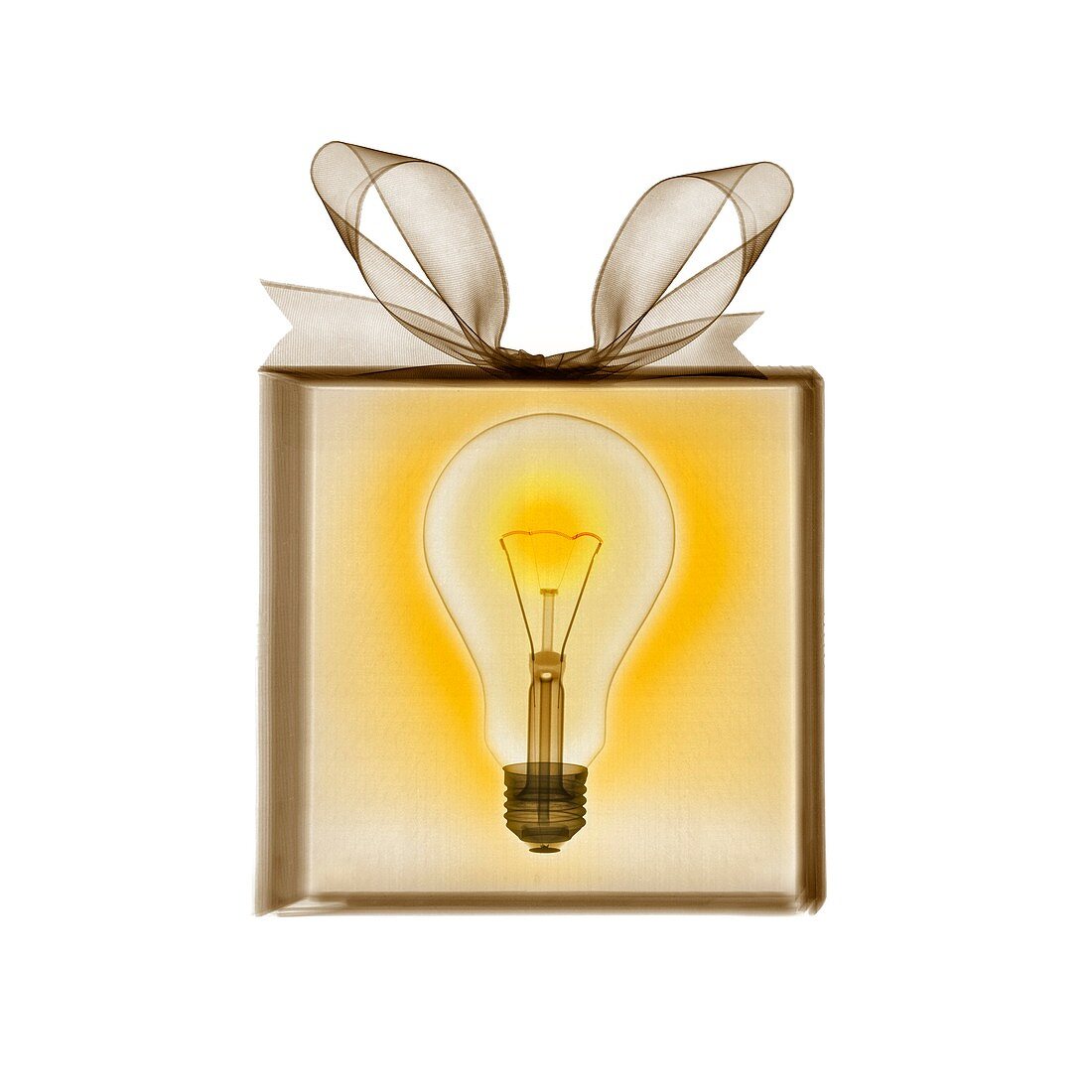 Gift wrapped present containing glowing light bulb, X-ray