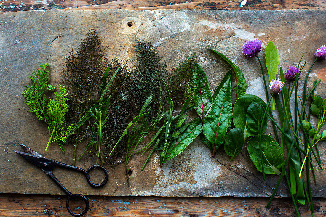 Various fresh herbs