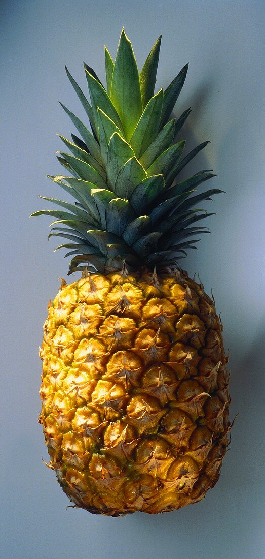 A Single Pineapple