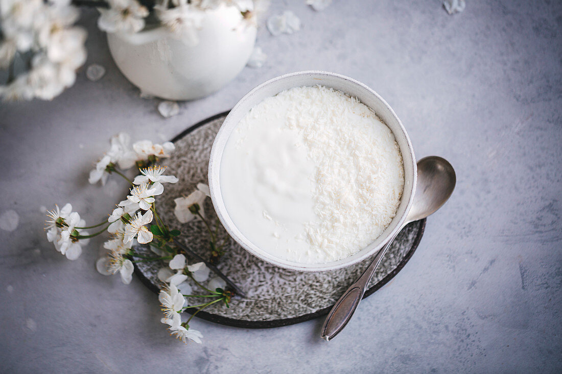 Joghurt mit Kokosraspeln serviert in weißer Keramikschale