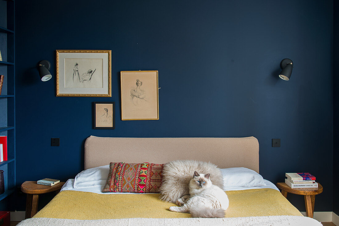 Katze auf Doppelbett im Schlafzimmer mit dunkelblauer Wand