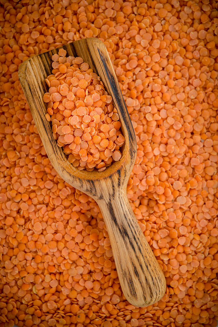 Red Lentils with a Scoop