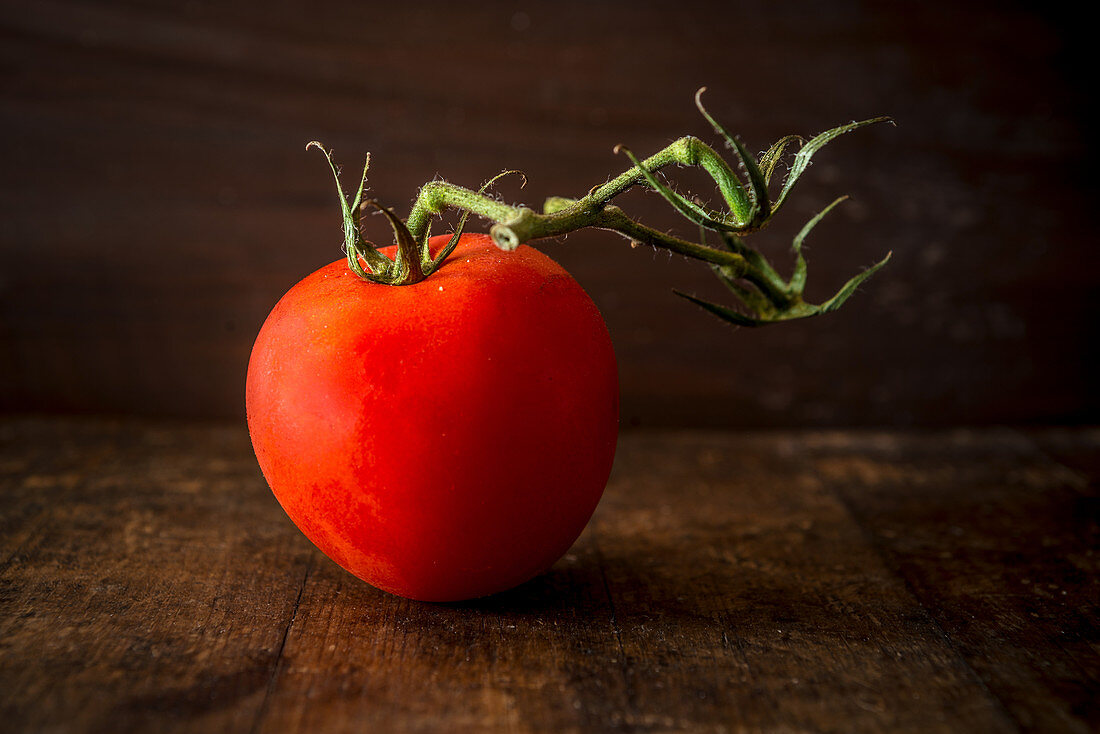 Eine reife Tomate mit Rispe