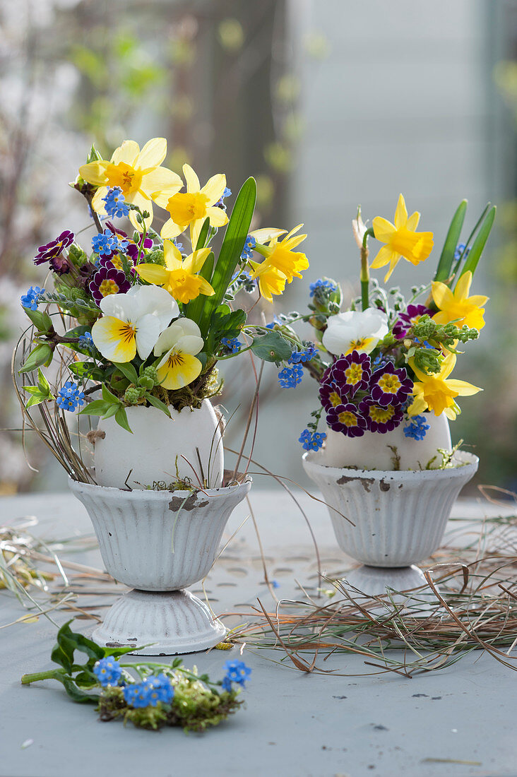 Small Easter bouquets in ostrich eggs as a vase: daffodils, horned violets, primroses, forget-me-nots and feathers