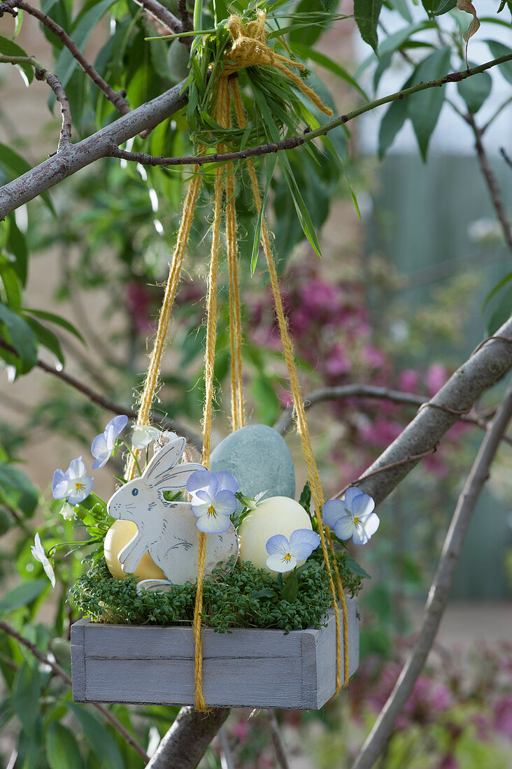 Hanging Easter basket with cress, Easter eggs, Easter bunny and horned violet flowers