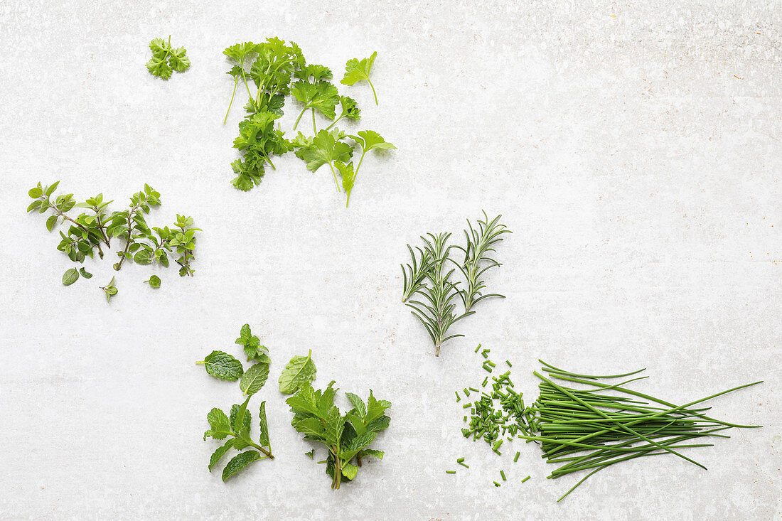 Marjoram, parsley, mint, rosemary and chives on a light background