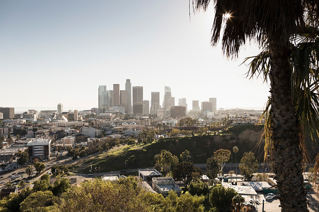 Sunny cityscape, Los Angeles, California, USA