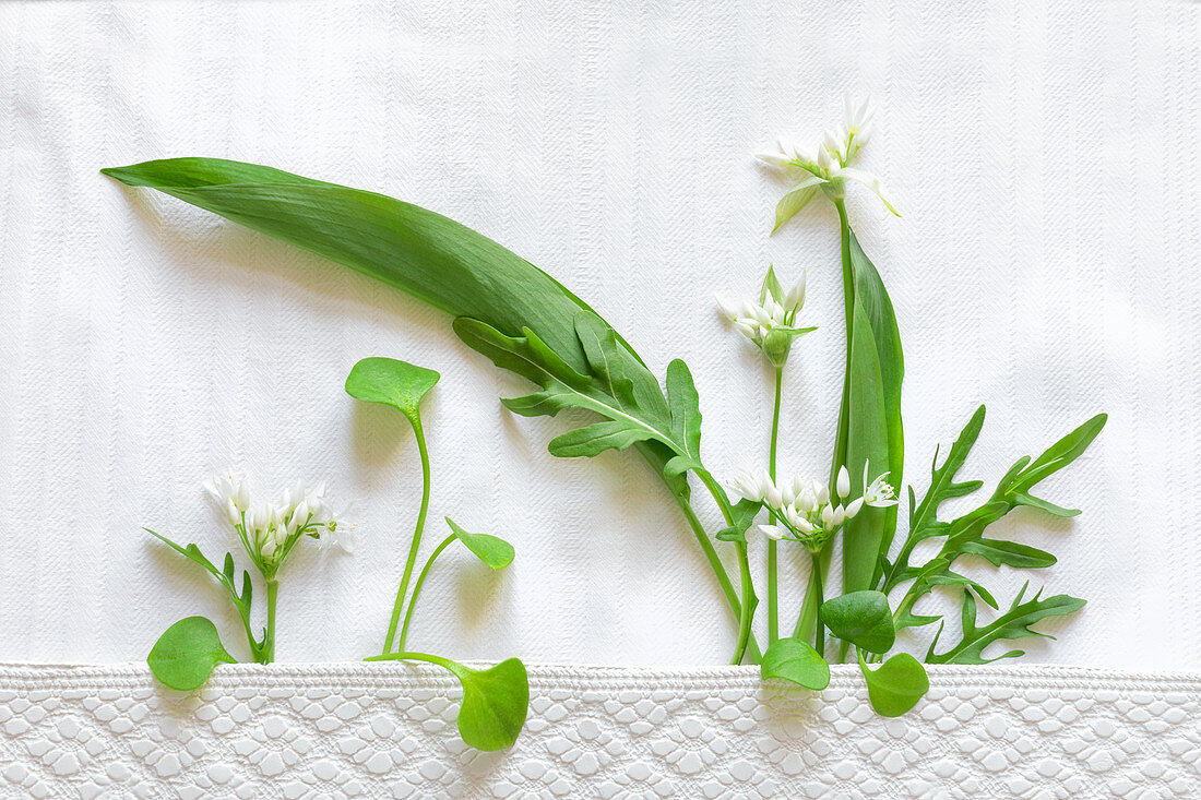 Purslane, wild garlic with leaves and flowers and arugula