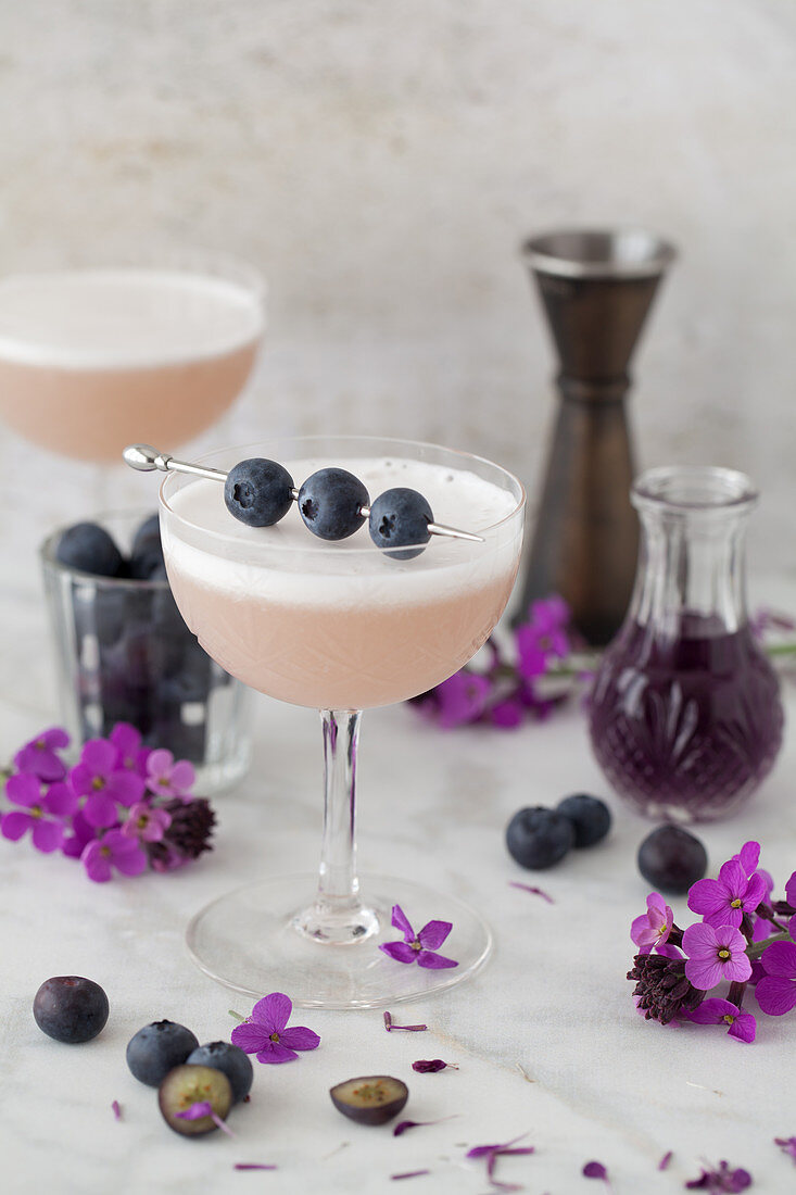 Blueberry gin sour in a vintage cocktail glass decorated with blueberries
