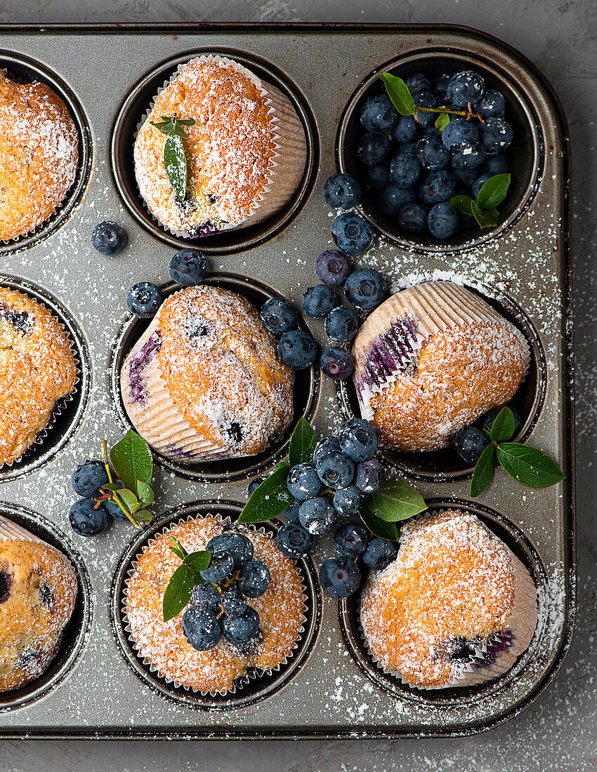 Muffins with blueberries in a muffin tray