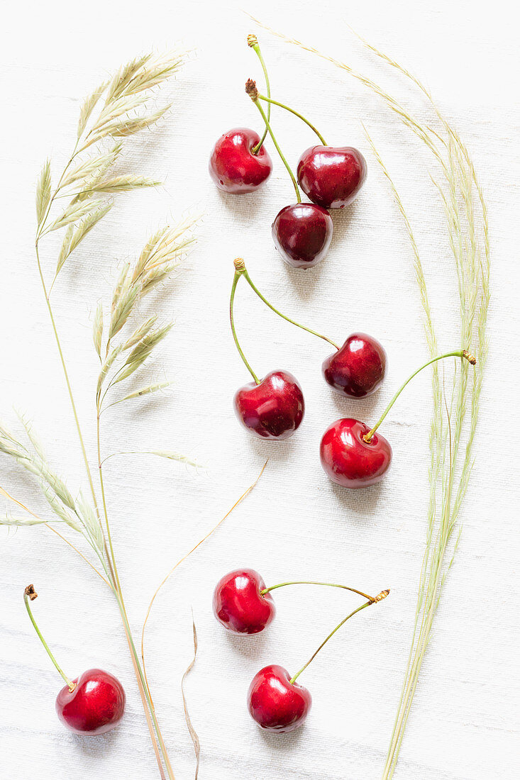 Fresh cherries with meadow grass