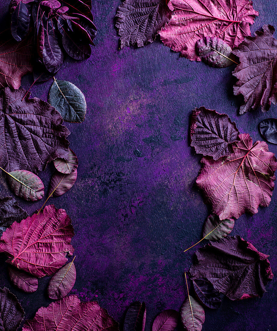 Frame of purple leaves on purple surface