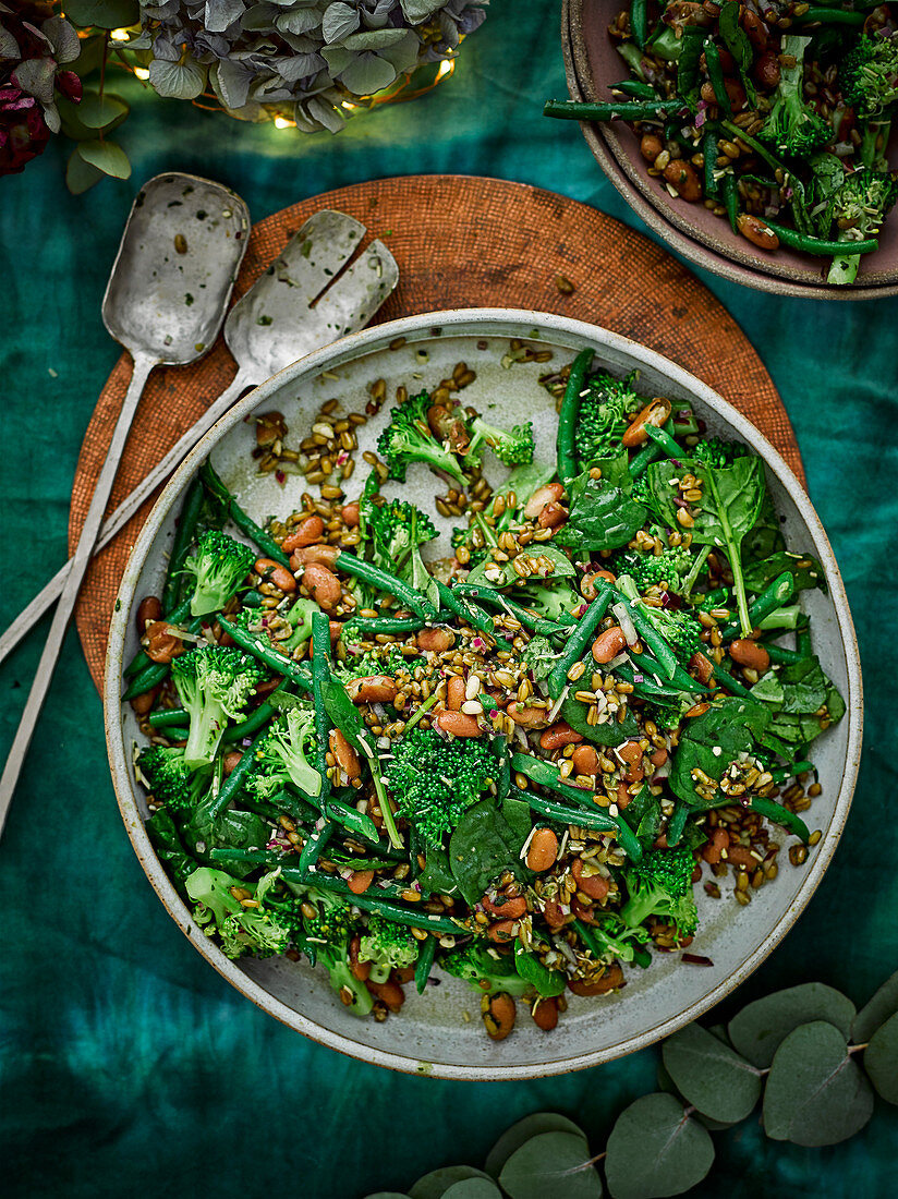 Vegetable salad with beans, broccoli and spinach