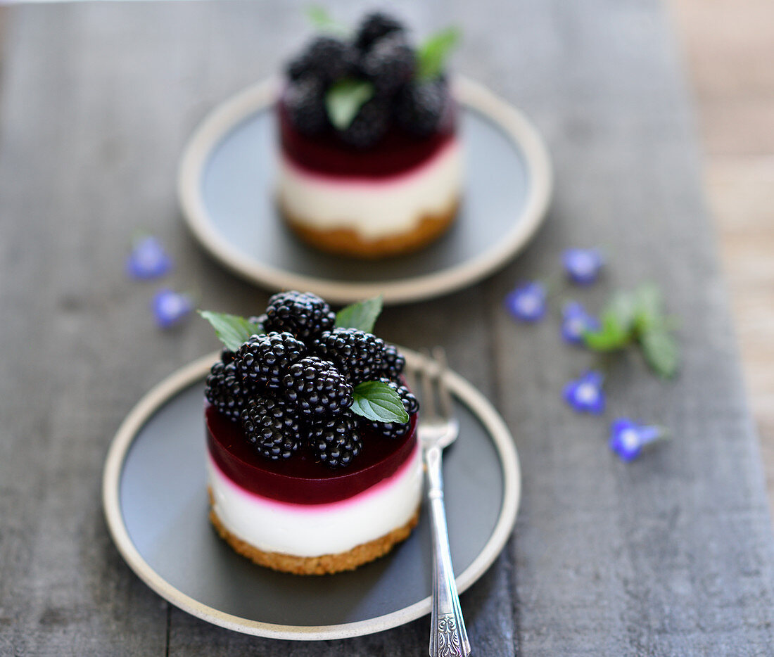 Vegan blackberry and lime cakes with crispy oat bases