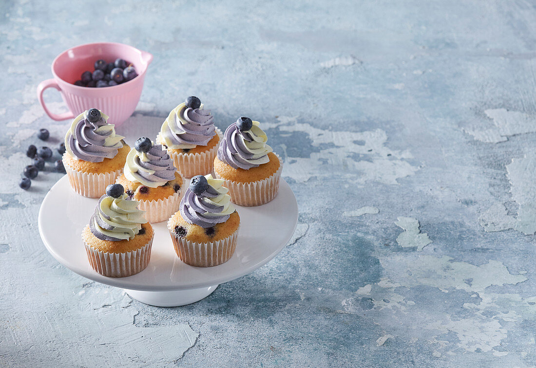 Blaubeer-Cupcakes