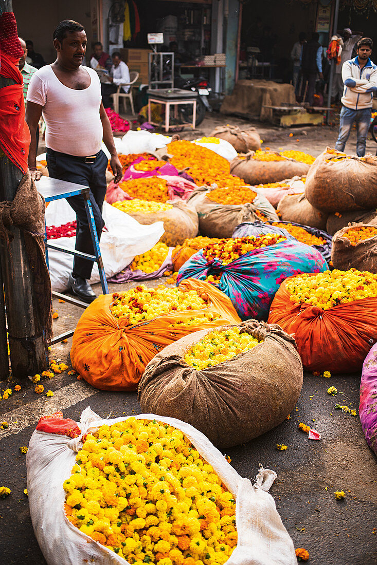 Blumenmarkt in Jaipur (Indien)