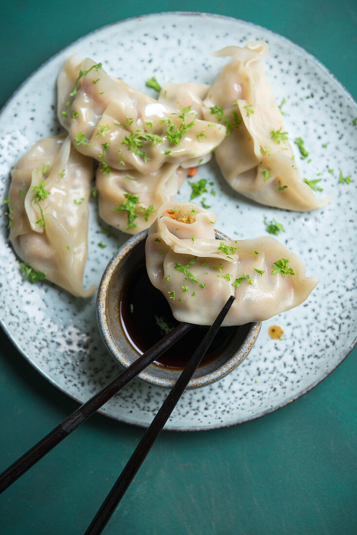 Vegan Asian vegetable dumplings with soy sauce