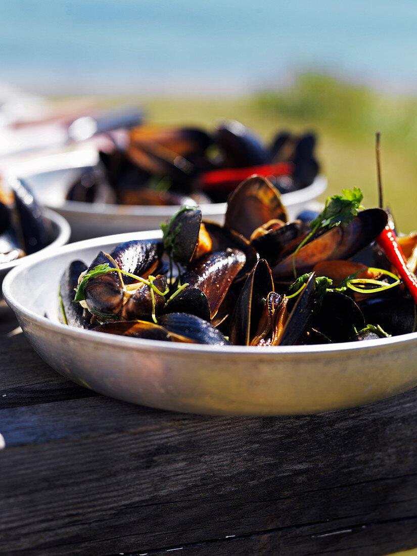 Mussels with chilli and herbs in bowls on an outdoor table