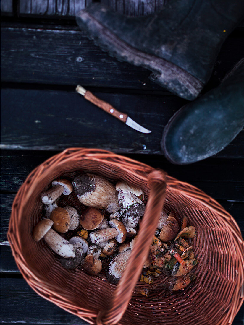 A basket of freshly picked wild mushrooms