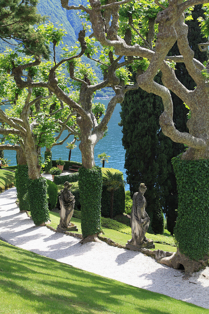 Mediterranean garden on Lake Maggiore, strangely shaped trees along the way