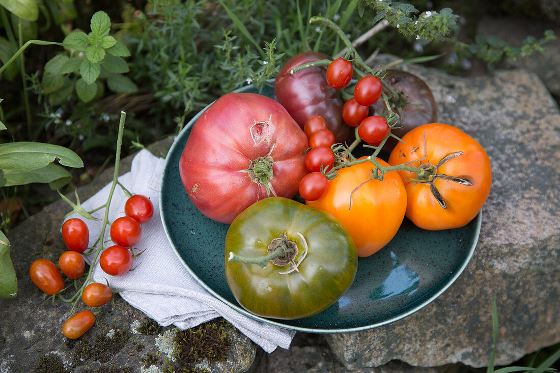 Tomato compositions