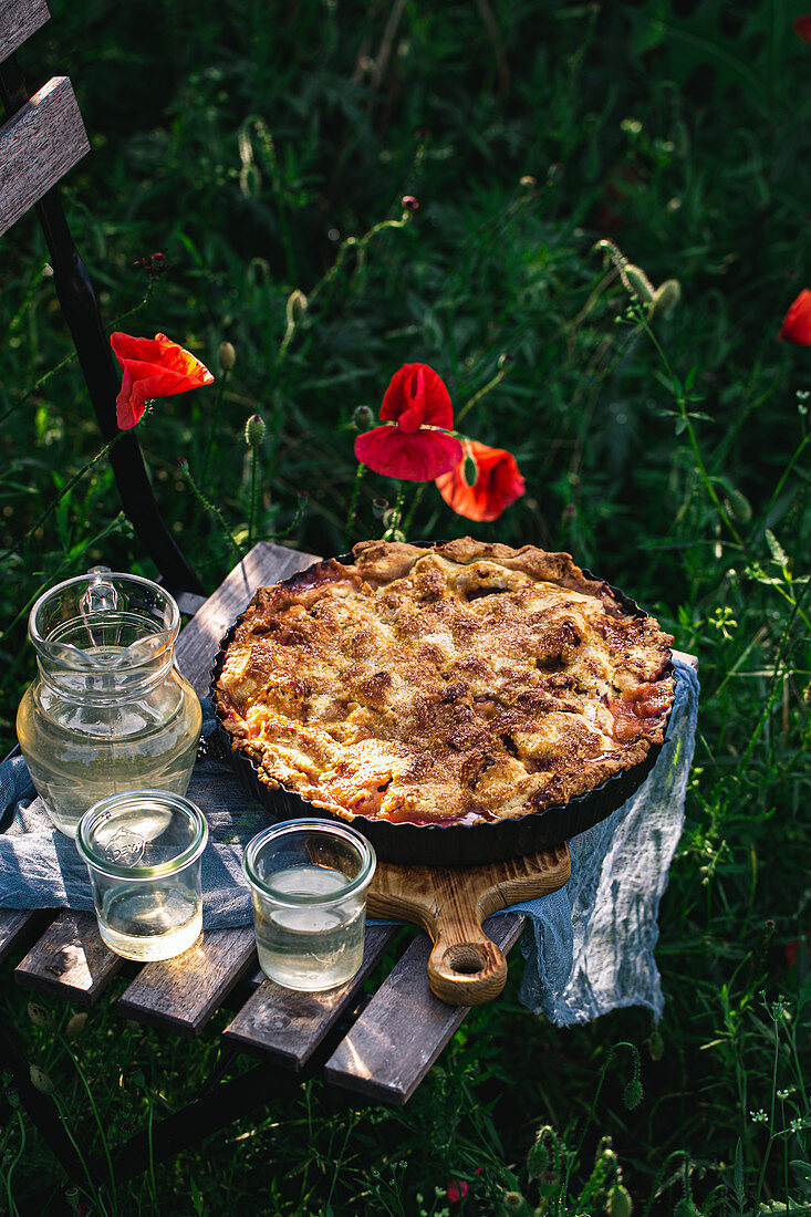 Rhabarberkuchen auf Gartenstuhl auf Mohnblumenwiese