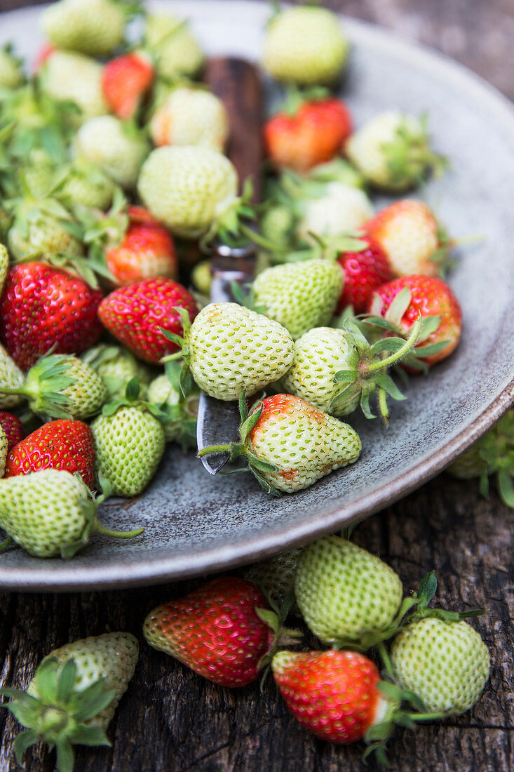 Red and green strawberries on a plate