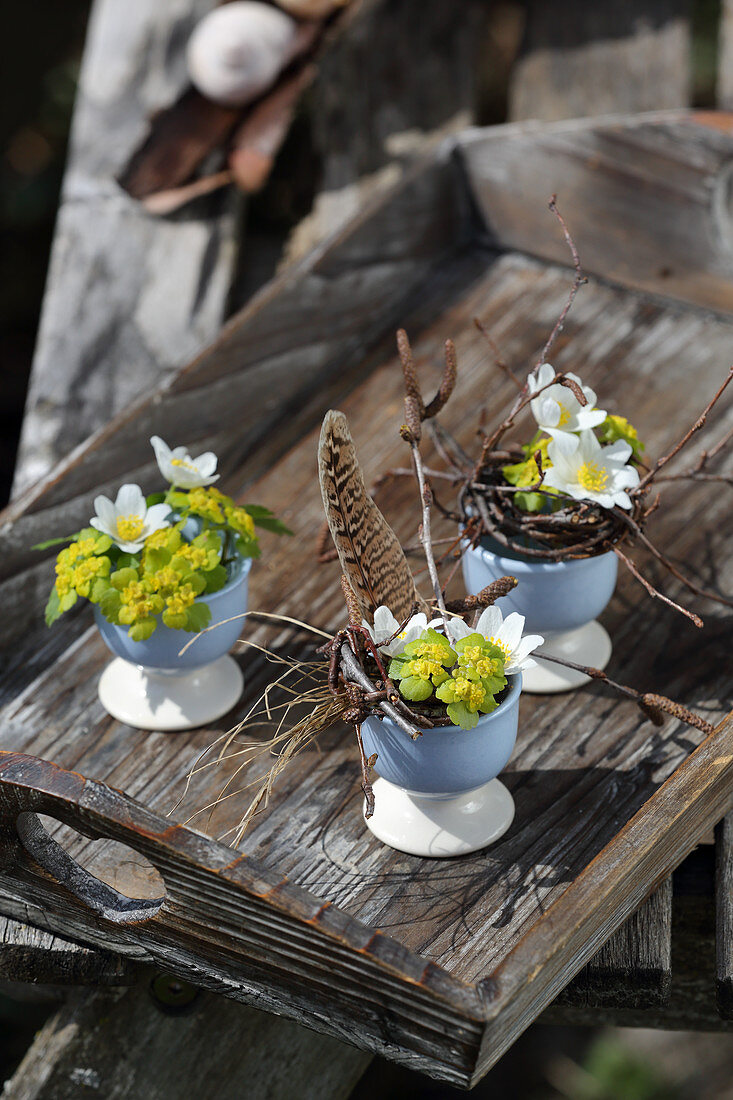 Small bouquets of wood anemones, milkweed, twigs, and feathers in egg cups