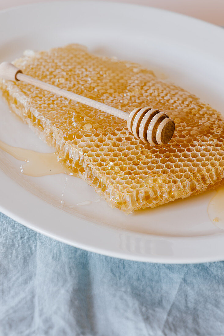 Fresh honeycomb in one big piece