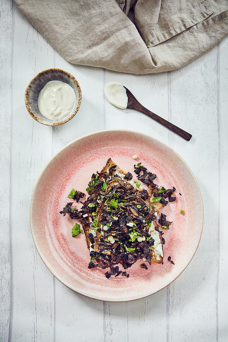 Pulled Truffle Mushroom Toast (Vegan)