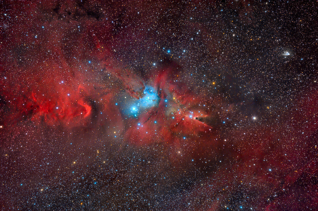 Cone nebula and Christmas Tree Cluster