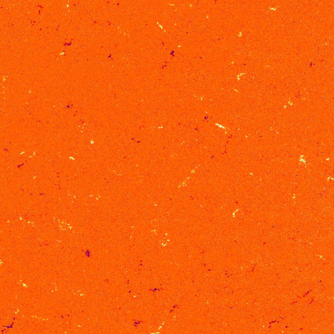 Solar magnetic regions, Solar Orbiter image