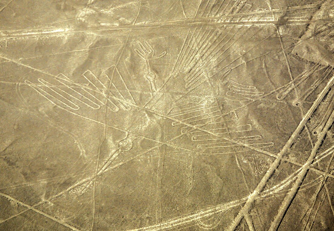 Condor Nazca lines, Peru