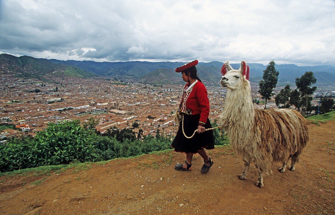 Indigenous woman with llama, Cusco, Peru
