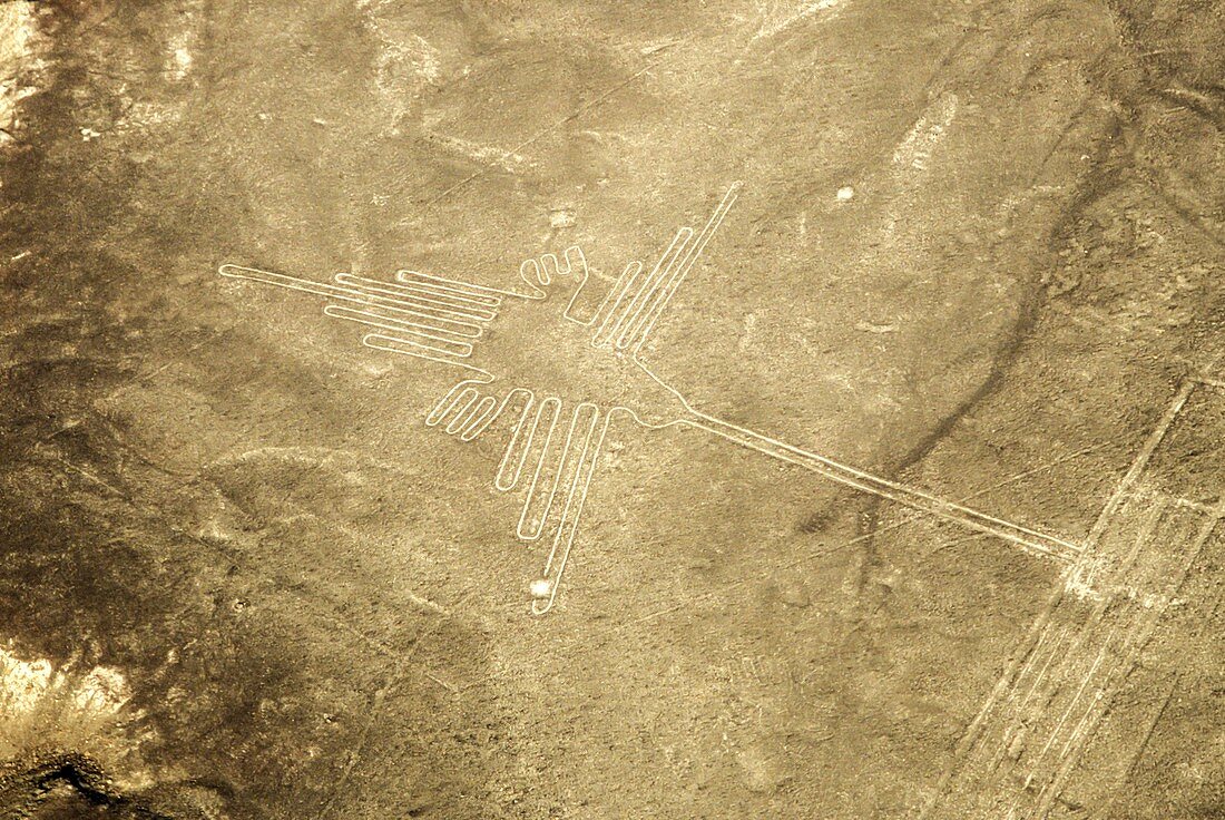 Humming bird Nazca lines, Peru