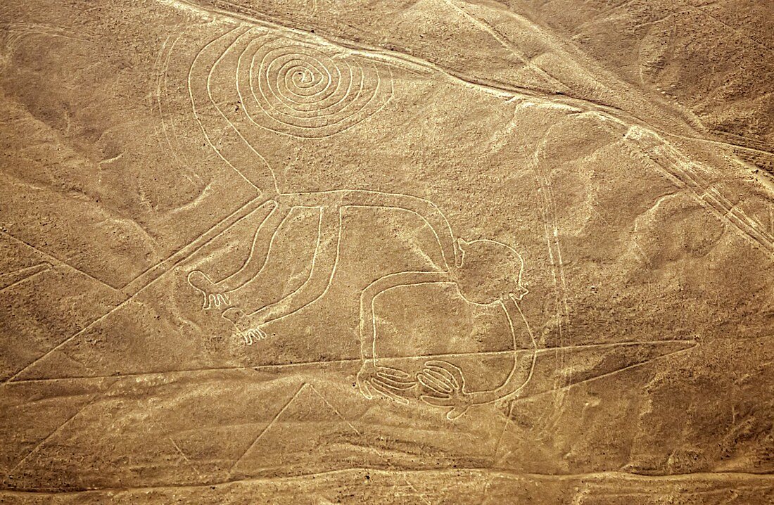 Monkey Nazca lines, Peru