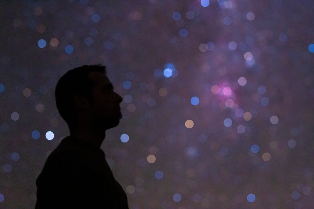Stargazer silhouetted against night sky