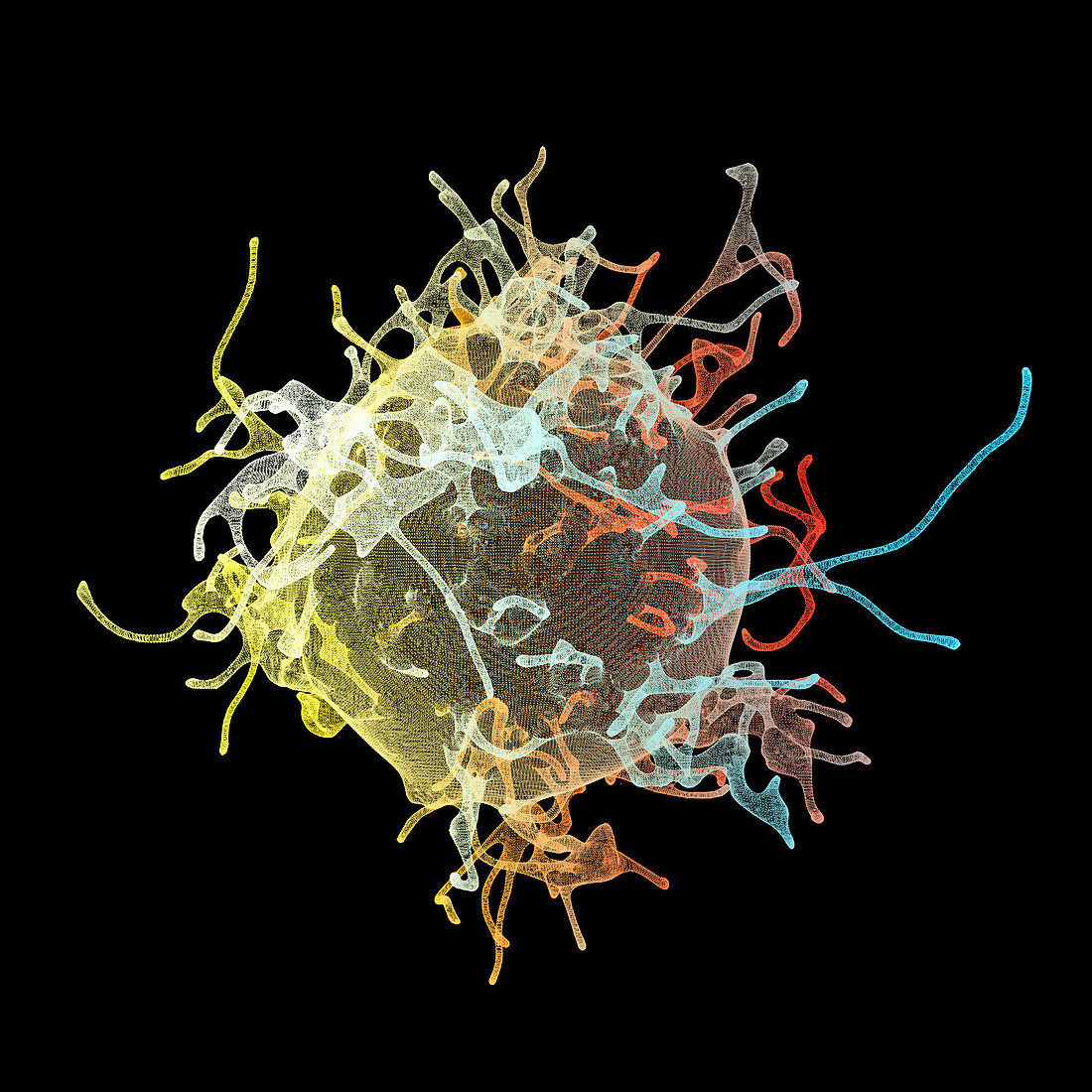 Cancer cells, illustration