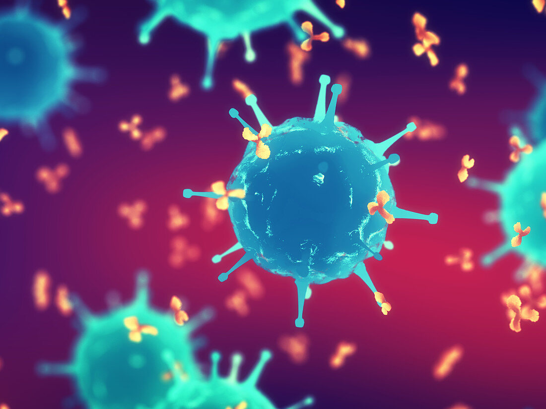 Pathogenic viruses and antibodies, illustration