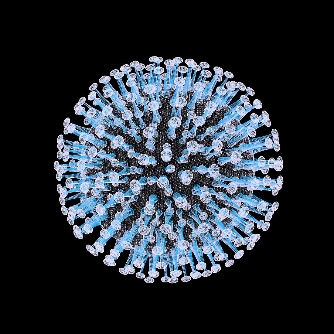 Coronavirus particle, illustration