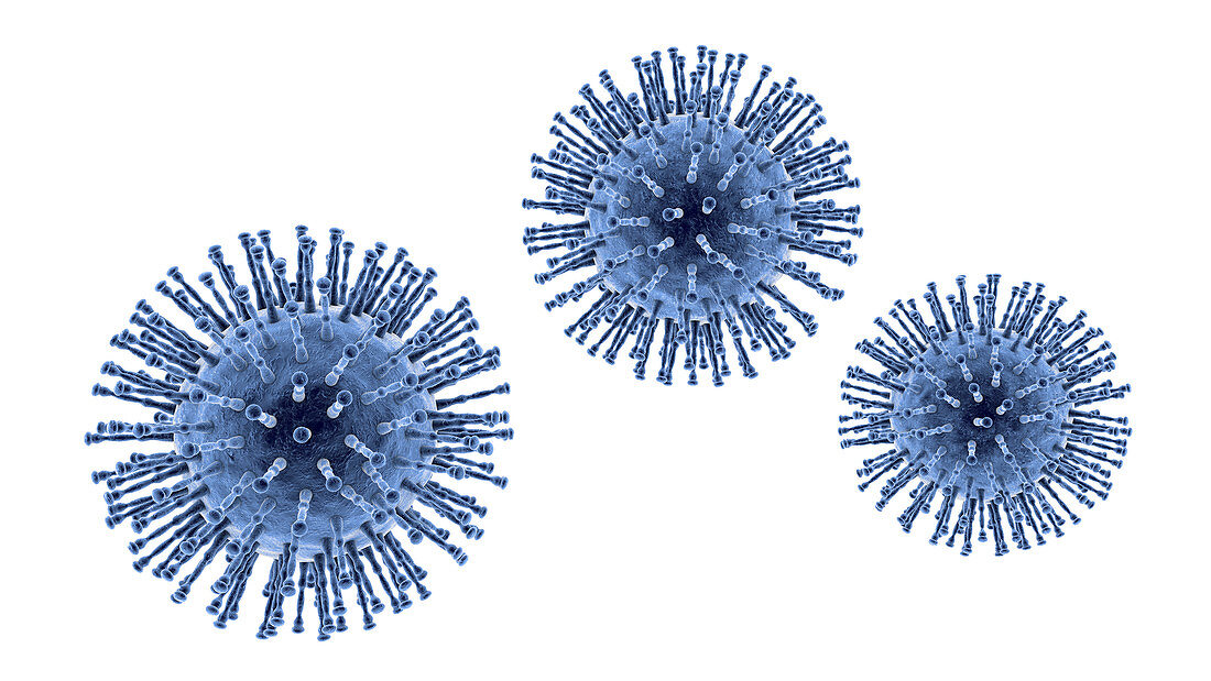 Coronavirus particles, illustration