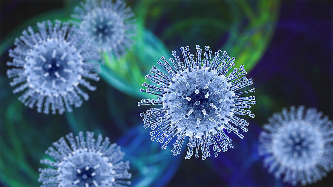 Coronavirus particles, illustration